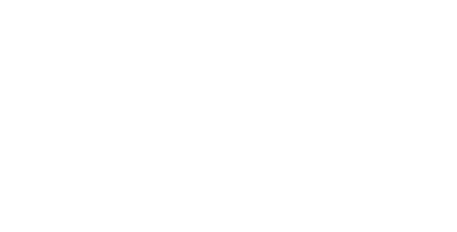 Steadfast logo